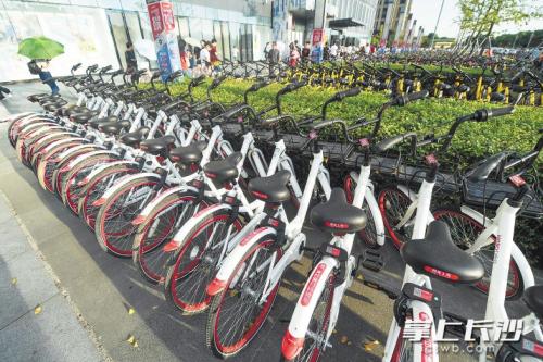 昨日下午，在開(kāi)福區(qū)萬(wàn)達(dá)廣場(chǎng)，成片的共享單車(chē)停放在廣場(chǎng)前坪。 長(zhǎng)沙晚報(bào)記者 黃啟晴 攝