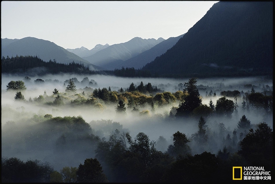奧林匹克國家公園，華盛頓州攝影：Sam Abell，國家地理創(chuàng)意版