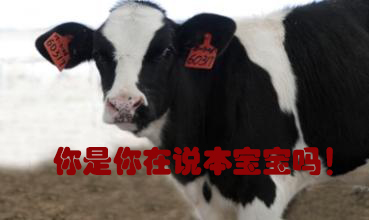 關(guān)我什么事！