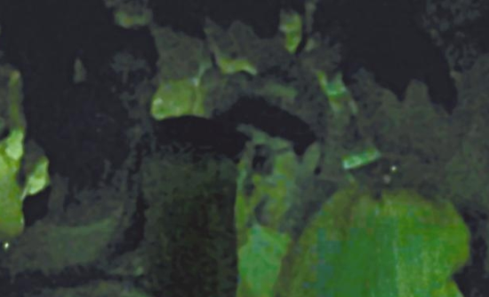房祖名去年被港媒直擊在中環(huán)夜店與長(zhǎng)發(fā)妞互動(dòng)曖昧，女生正是Nana