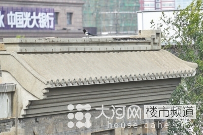 鄭州花園路“飛機樓”也要拆？去留引發(fā)關注