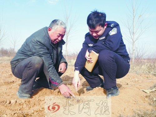 牡丹苗被盜之后，郭萬通又補種的牡丹苗已經(jīng)發(fā)芽