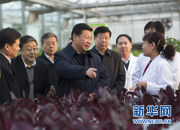  27日下午，習(xí)近平在山東省農(nóng)業(yè)科學(xué)院智能化溫室了解農(nóng)業(yè)科技創(chuàng)新情況。