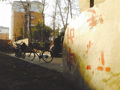 昨日，“上海奇石盆景博物館”原址上，已矗立起小區(qū)樓盤，而刻著博物館名的巨石，廢棄在一旁。本版圖片/新京報(bào)記者 張永生 攝