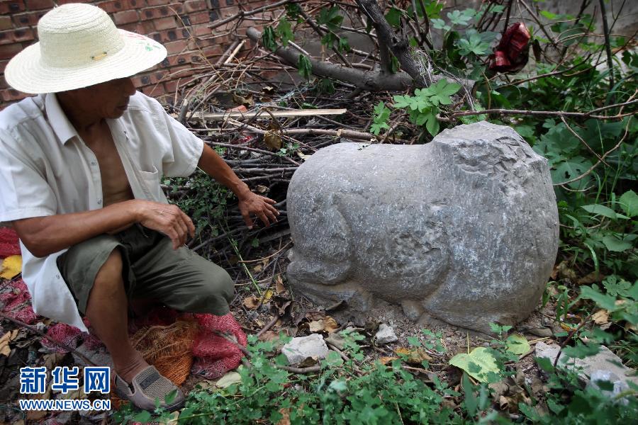 朝陽鎮(zhèn)后李村業(yè)余文保隊(duì)員，今年65歲的李連堂在上世紀(jì)平整土地時(shí)候，從地里挖出一個(gè)石羊殘身，至今仍放在