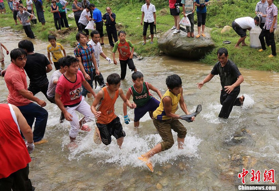 7月9日，村民在小河里摸魚搶魚。譚凱興 攝