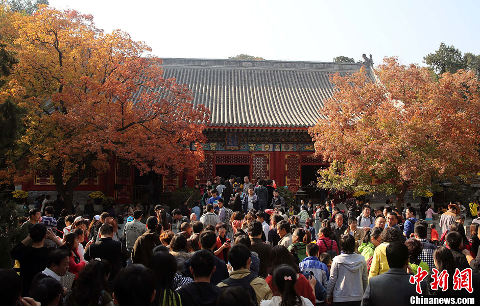　10月26日，北京香山公園內(nèi)游客摩肩接踵。