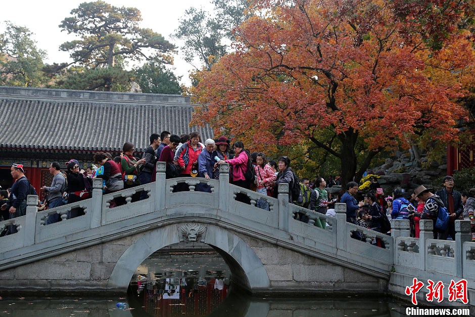 　10月26日，北京香山公園內(nèi)游客摩肩接踵。