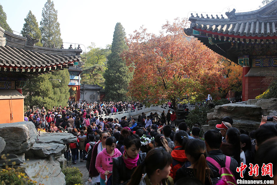 　10月26日，北京香山公園內(nèi)游客摩肩接踵。