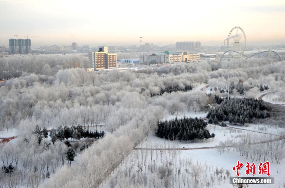 12月10日,受降溫天氣影響,黑河市黑龍江江畔出現(xiàn)綿延數(shù)公里的霧凇景觀。