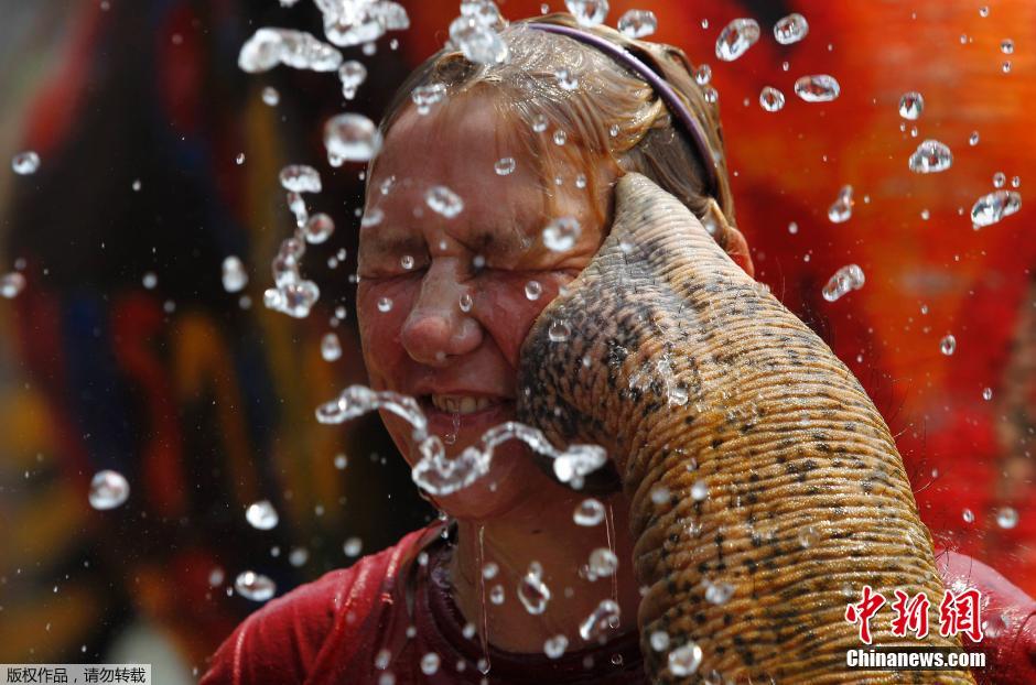 泰國民眾迎接潑水節(jié) 大象長(zhǎng)鼻秒變“水槍”