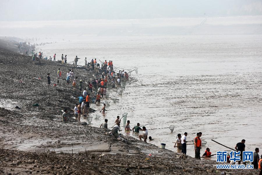 7月6日,在山西省平陸縣黃河岸邊,人們在河邊捕撈黃河“流魚”。
