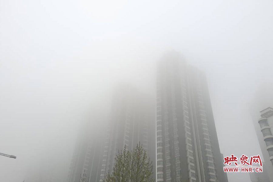 鄭州現(xiàn)大霧天氣，宛若仙境