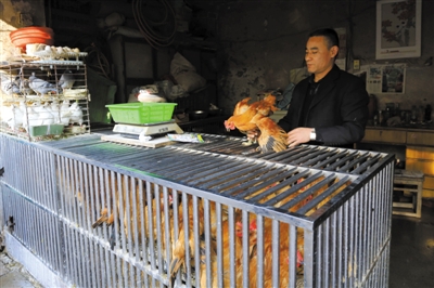 南京另一家農(nóng)貿(mào)市場內(nèi)待售的活雞。因南京出現(xiàn)H7N9禽流病例，買活雞的顧客減少。