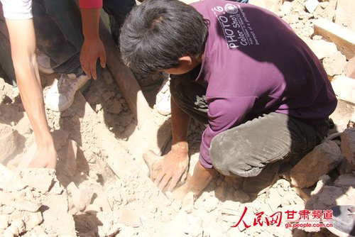 小黃狗露出了鼻子。王生元/攝