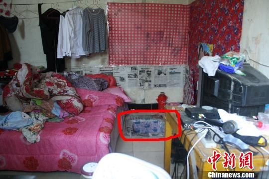 圖上紅圈內(nèi)為嫌犯所挖地窖入口。 吳佳蔚 攝