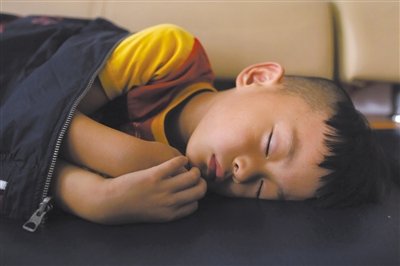 9月6日，等待錄制節(jié)目的多多躺在沙發(fā)上熟睡。新京報(bào)記者 侯少卿 攝