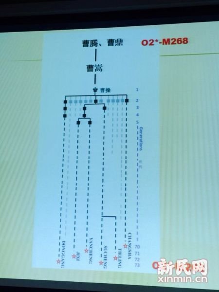 圖說：復(fù)旦課題組發(fā)布曹操家族DNA研究結(jié)果。新民網(wǎng) 記者 李欣 攝