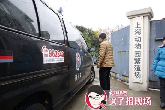 殯葬車到達(dá)現(xiàn)場(chǎng)。新民網(wǎng) 記者 蕭君瑋 攝