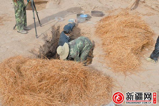考古人員正在清理麥稈。（圖由中國(guó)科學(xué)院人文學(xué)院科技室與科技考古系提供）