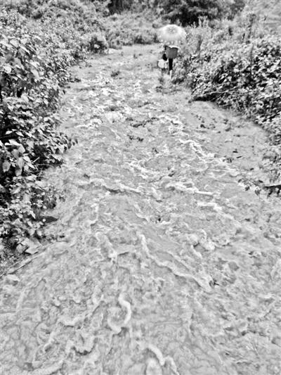 梅子回家的山道，晴天是路，雨天是河