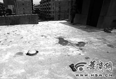 藏獒就養(yǎng)在這個(gè)樓頂，孩子從欄桿處墜落 本報(bào)記者 趙航 攝