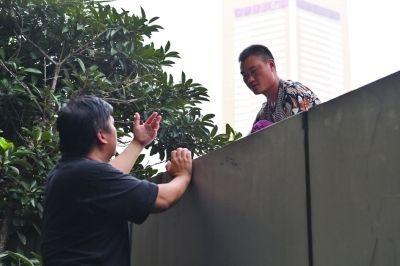 黃主任站在獨(dú)木樁上與男子交談了近半小時(shí)。