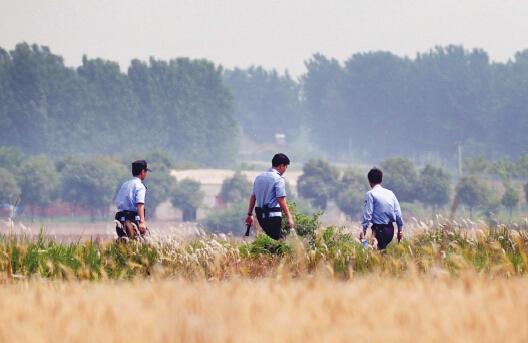 昨日上午，合肥長(zhǎng)豐縣雙墩鎮(zhèn)，民警分成小隊(duì)在案發(fā)村莊附近麥田搜捕嫌犯。記者劉玉才/攝
