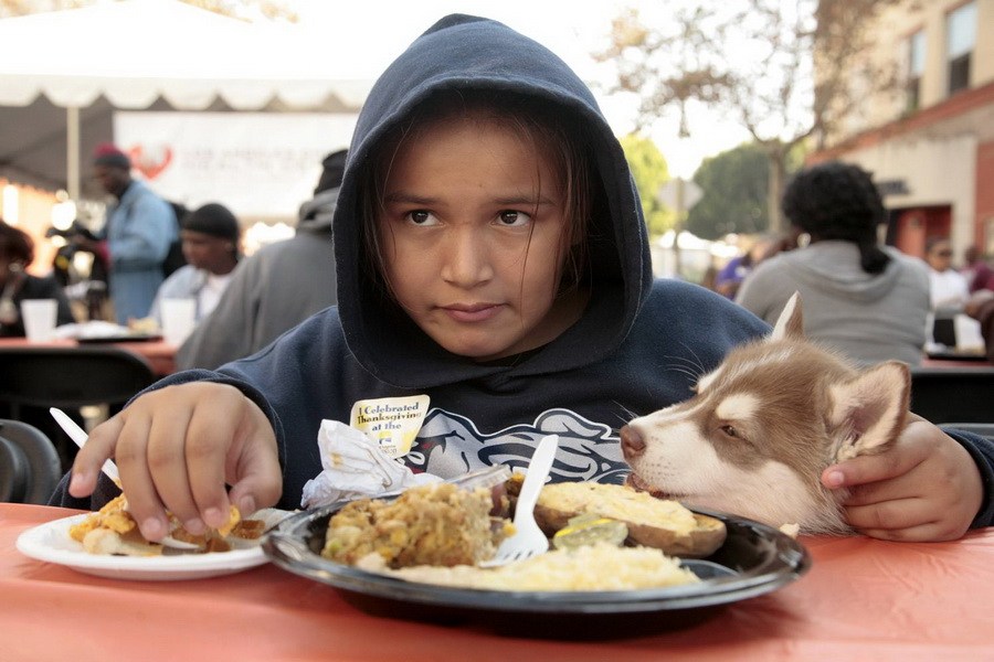 11月21日，加州洛杉磯的游民巷，12歲的堂娜·赫南德茲抱著愛犬“湯米”，安靜地吃著免費(fèi)的感恩節(jié)飯菜