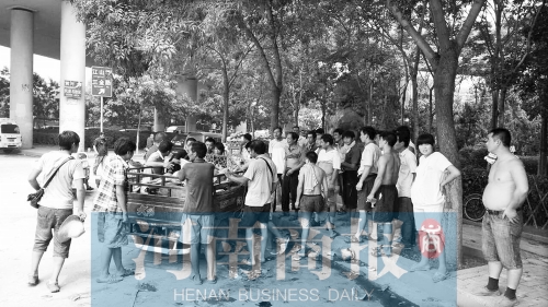 北環(huán)南陽(yáng)路立交橋下，瓜農(nóng)小秦被打后，附近瓜農(nóng)紛紛圍了上來(lái)