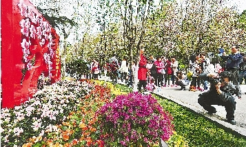 市民紛紛將鏡頭對(duì)準(zhǔn)花叢。
