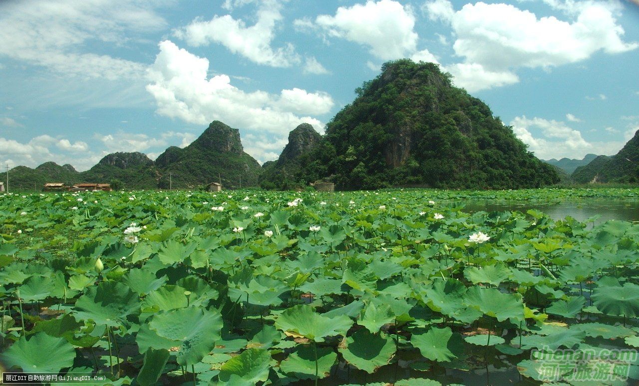 爸爸去哪兒？親密接觸荷花仙子