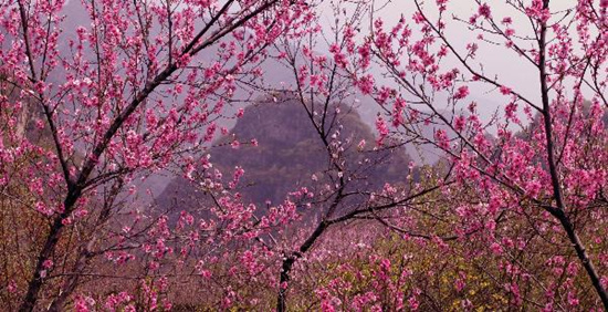 撿垃圾換玫瑰 女人節(jié) 愛在神農(nóng)山！