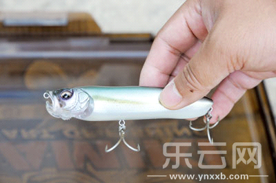 　　又稱(chēng)擬餌釣魚(yú),起源于歐洲,國(guó)內(nèi)翻譯為“路亞”。