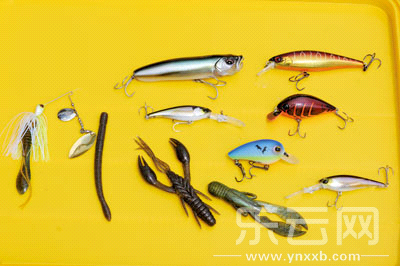 　　又稱(chēng)擬餌釣魚(yú),起源于歐洲,國(guó)內(nèi)翻譯為“路亞”。