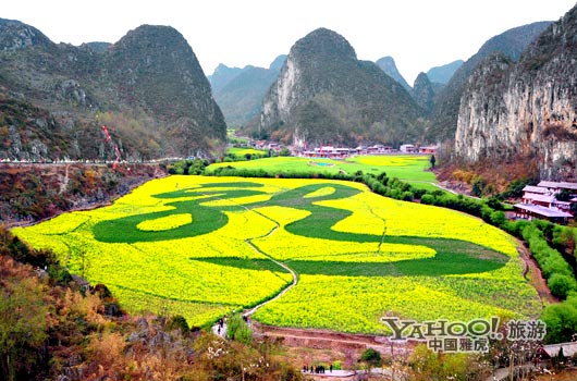 　　貴州油菜花景自以“立體多層,起伏跌宕”的油菜花景觀著稱。(圖片來源:CFP)