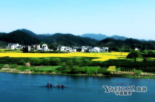 　　婺源號稱是中國最美麗的鄉(xiāng)村,她最美麗的季節(jié)是三月中下旬。(圖片來源:CFP)