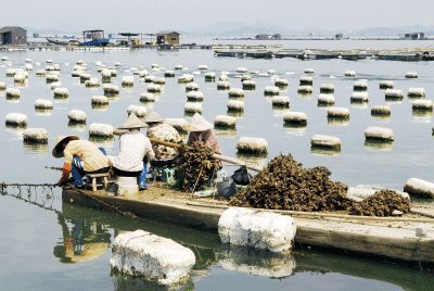 以漁為生，造就了他們不同于內(nèi)地的口味