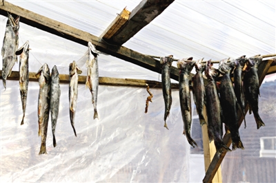 長(zhǎng)白山腳下一家小餐館內(nèi)晾曬的冷水魚。