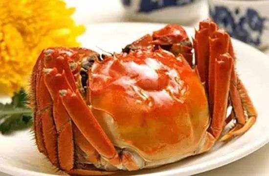 秋季最適合吃的海鮮是這10種 你吃對了嗎？