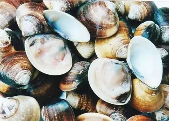 秋季最適合吃的海鮮是這10種 你吃對了嗎？