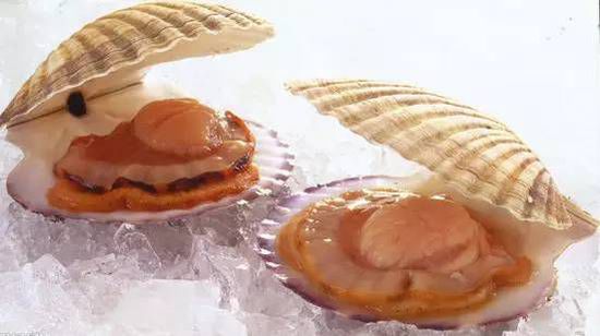 秋季最適合吃的海鮮是這10種 你吃對了嗎？