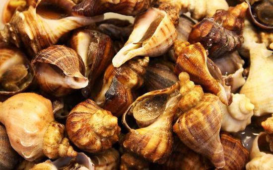 秋季最適合吃的海鮮是這10種 你吃對了嗎？