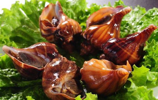 秋季最適合吃的海鮮是這10種 你吃對了嗎？