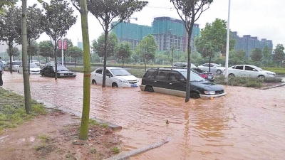 昨日，信陽突降暴雨，路面積水已淹沒輪胎。首席記者 何正權(quán) 通訊員 楊小燕 攝影