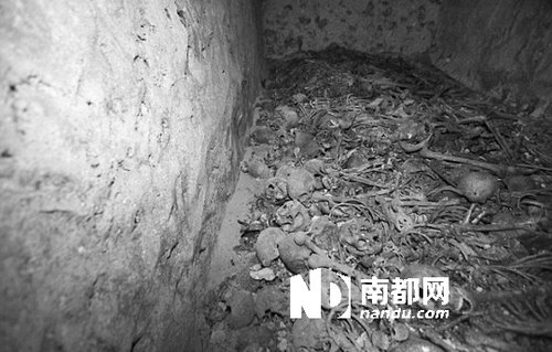 　5月29日，在以色列特拉維夫市雅法地區(qū)，一處集體墳?zāi)贡话l(fā)現(xiàn)。