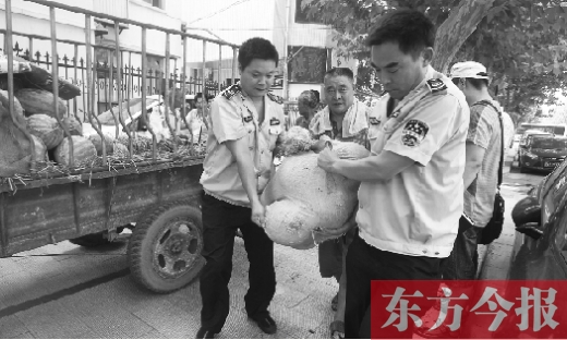 昨日，鄭州金水區(qū)執(zhí)法局的執(zhí)法隊員捐錢買瓜，替瓜農(nóng)解憂