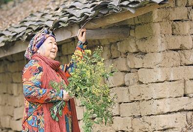 公式“時(shí)尚奶奶”的賞花照，收獲了好多人的點(diǎn)贊。 受訪者供圖