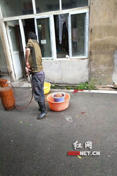 5月8日，男子在校園里殺狗，地上殘留一塊血跡。目擊者供圖。