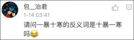 鶴立雞群？雞立鶴群！